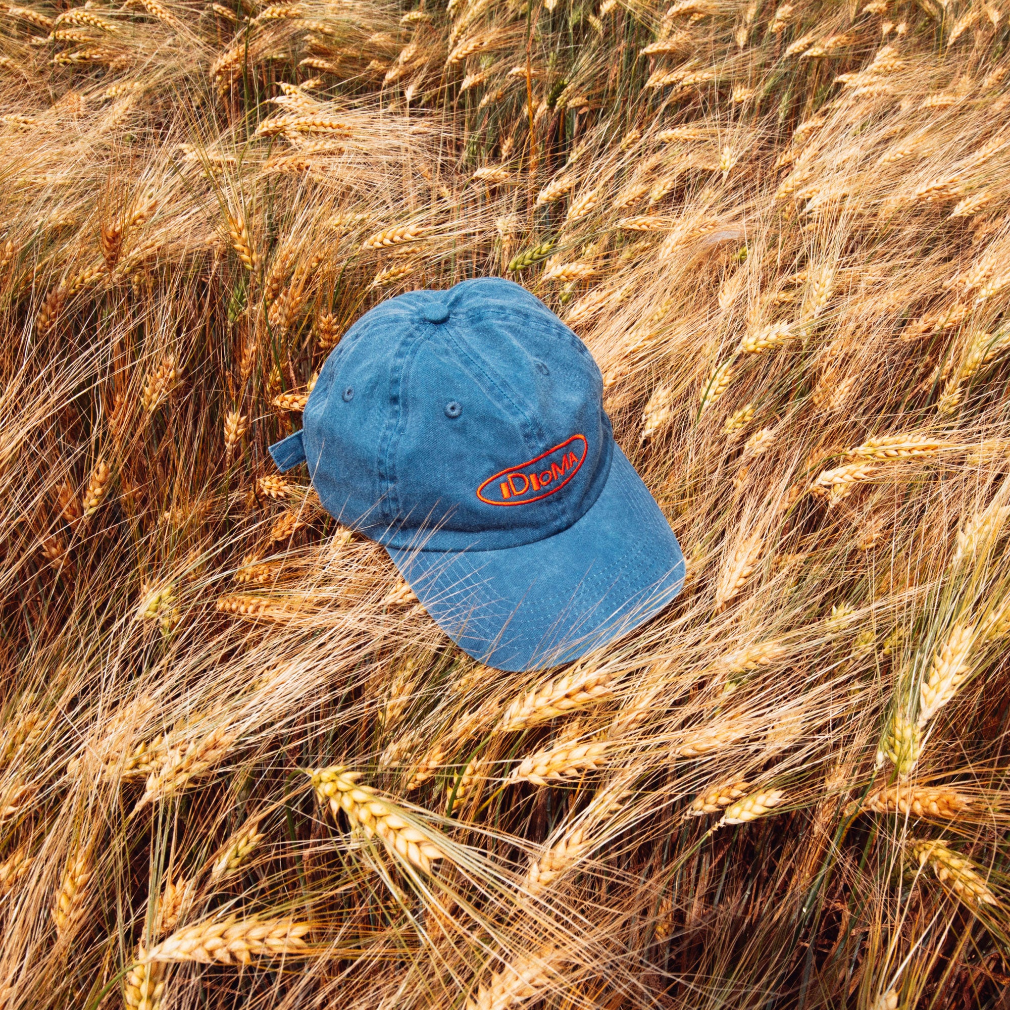 6 Panel Cap - Orbital