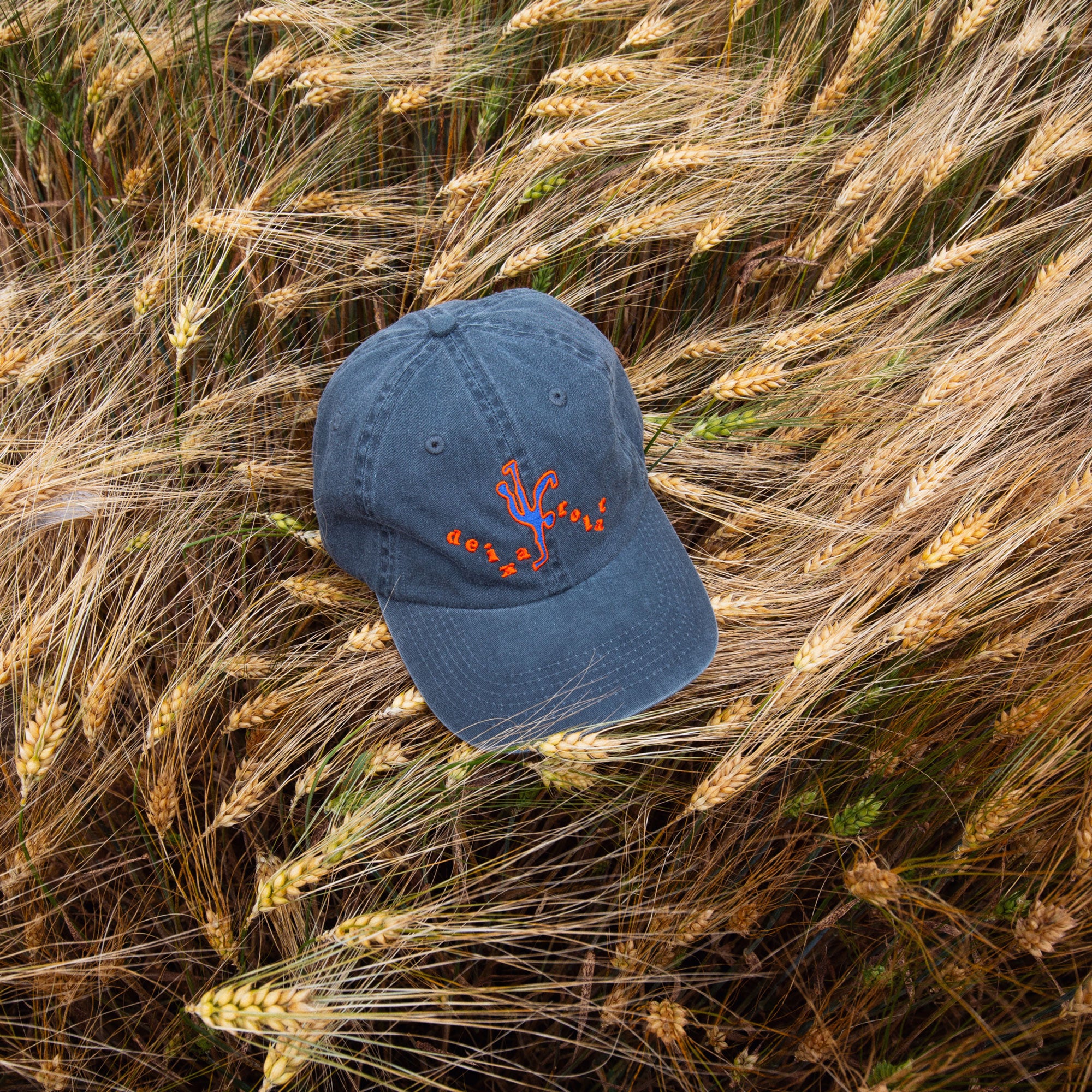 6 Panel Cap - Deixa Rolar