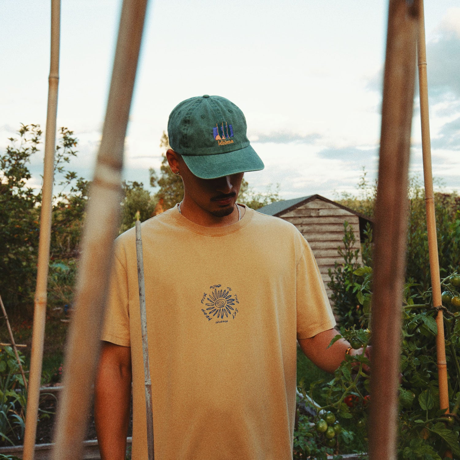 Girasol T-shirt (Amber Gold)
